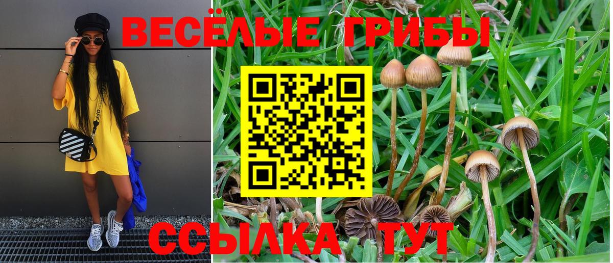 Галлюциногенные грибы MAGIC MUSHROOMS Борисоглебск