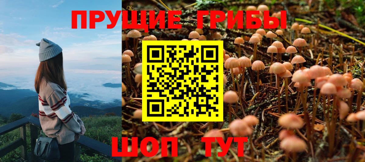 Борисоглебск  Псилоцибиновые грибы Psilocybe  Вход с VPN  Галлюциногенные грибы Psilocybine cubensis 